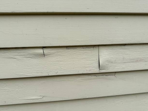 Reliable Toledo, IA Siding Solutions